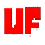 残暴之下共存版