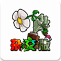 pvz杂交版2.3.5手机版